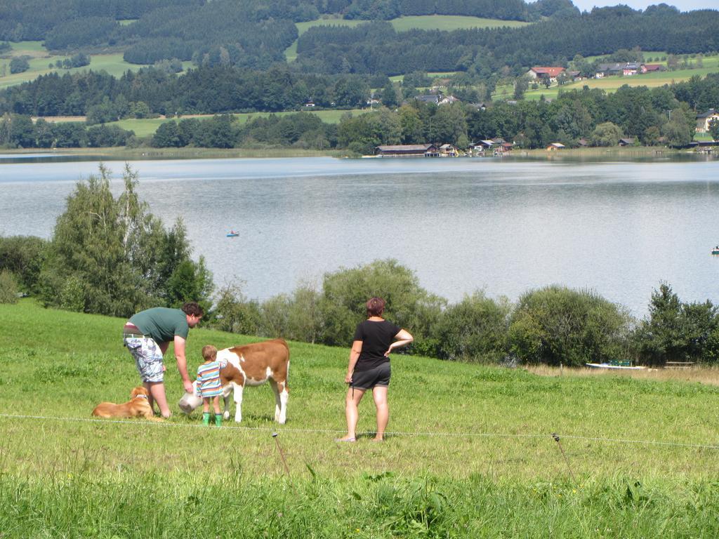 Séjour à la ferme Bauernhof Schink Zell am Moos