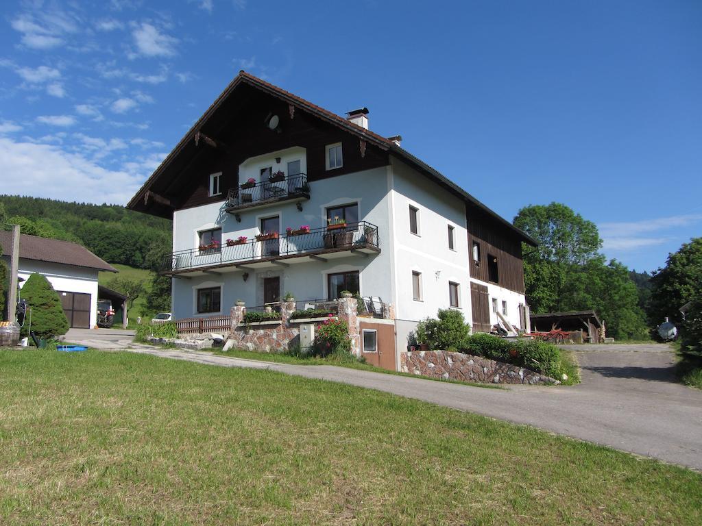 Bauernhof Schink * Zell am Moos